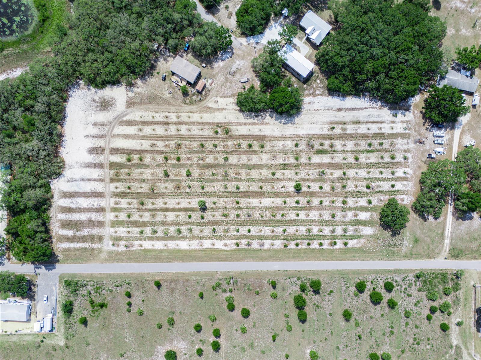 STEMBRIDGE RD, LAKE WALES, FL, 33898