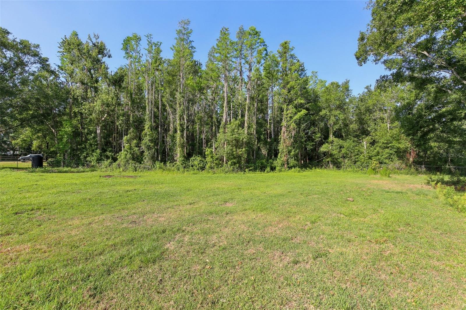 4025 MEADOW RUN LN, WESLEY CHAPEL, FL, 33543