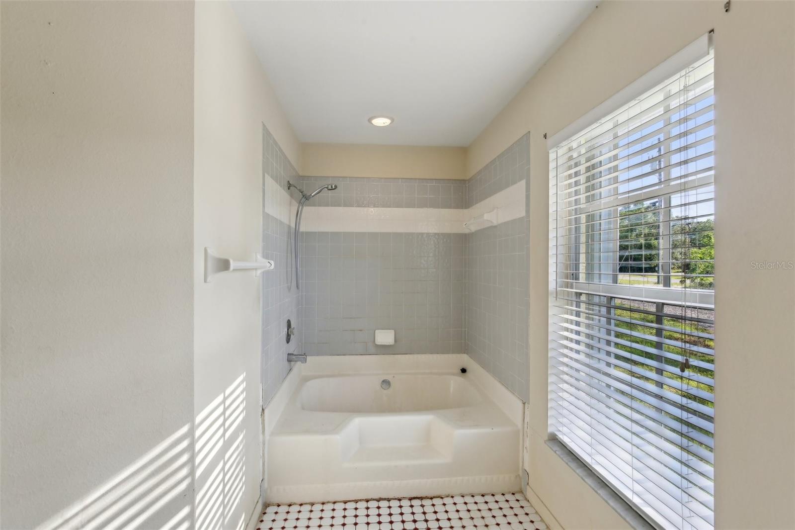 4025 MEADOW RUN LN, WESLEY CHAPEL, FL, 33543