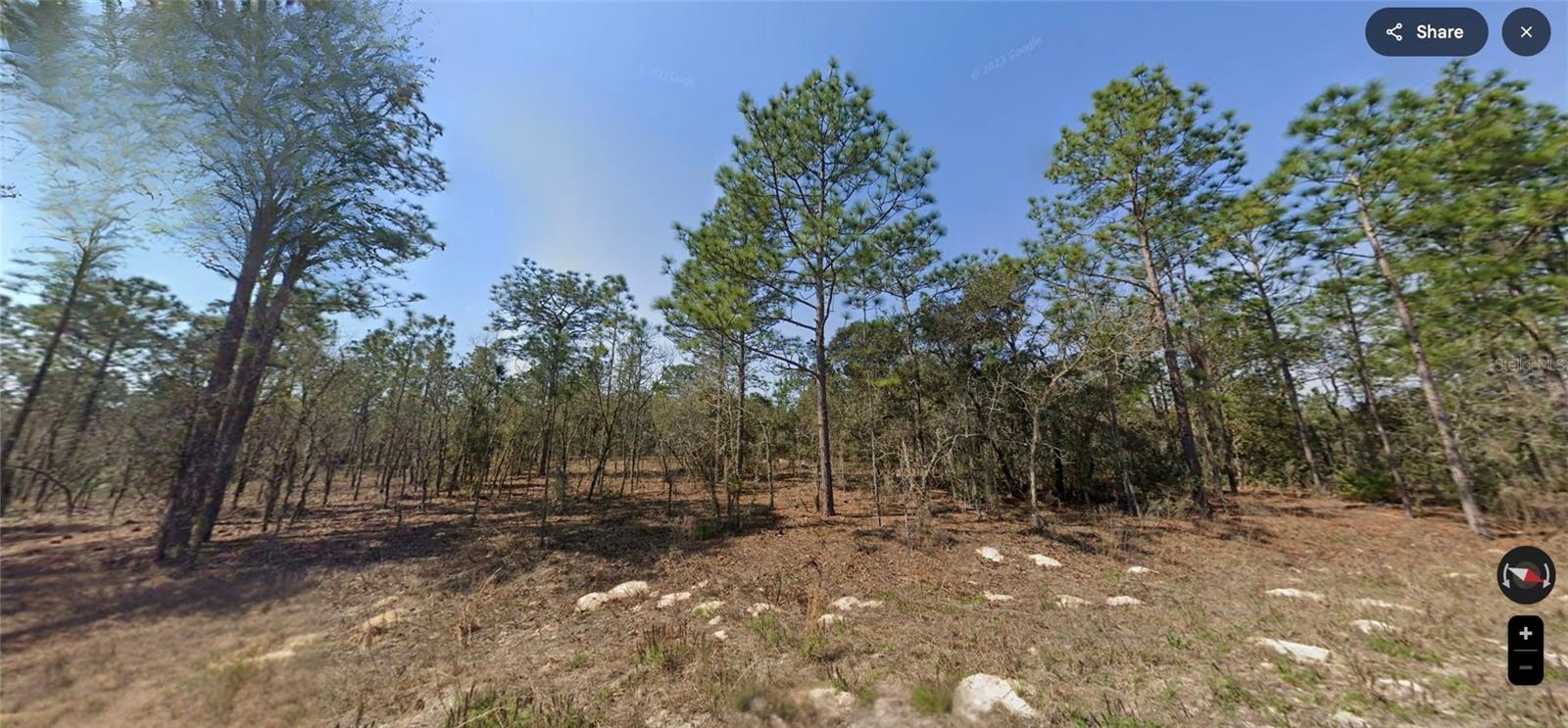 TBD SW 124 TERRACE RD, OCALA, FL, 34481