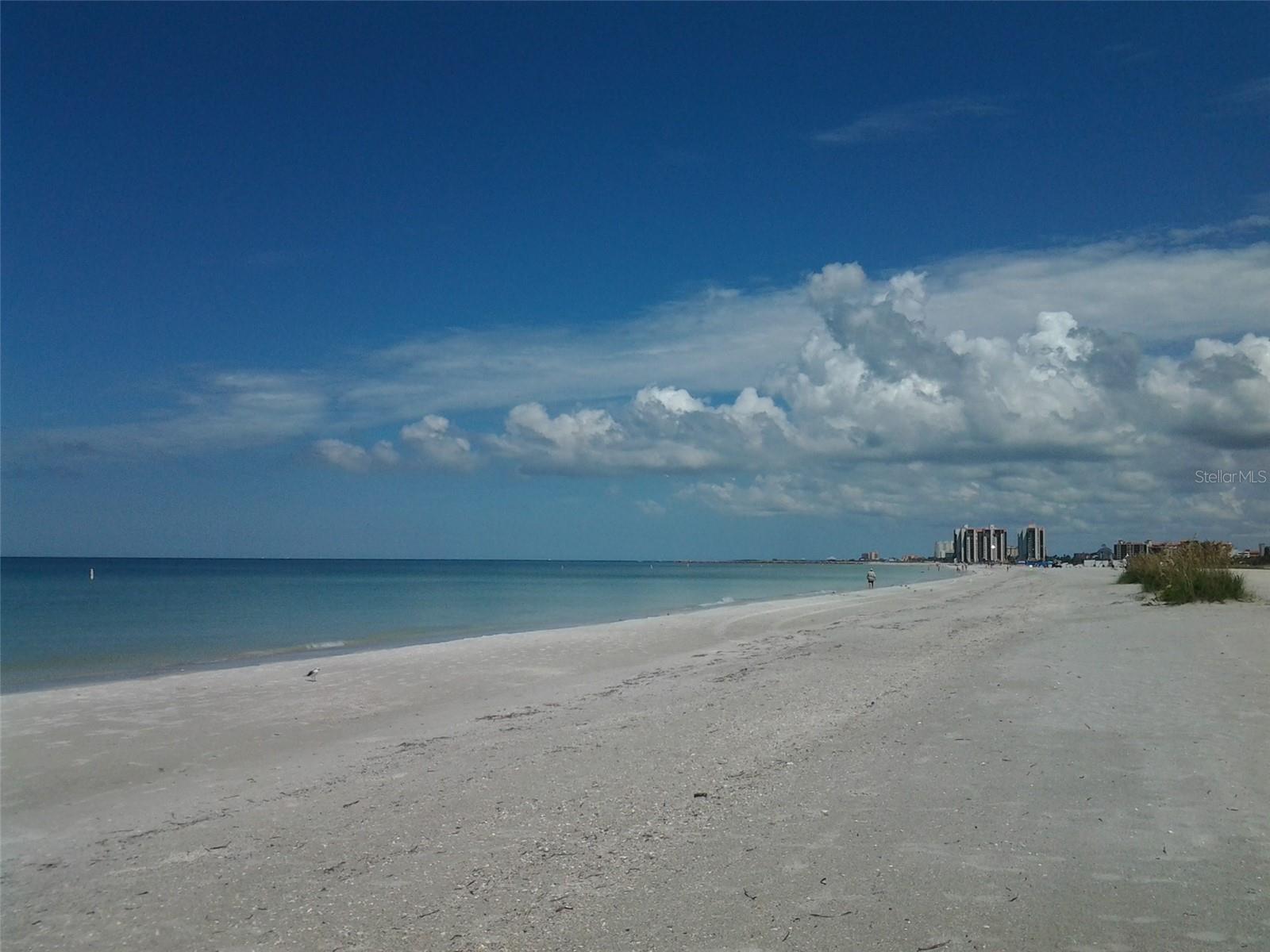 1230 GULF BLVD #1406, CLEARWATER BEACH, FL, 33767