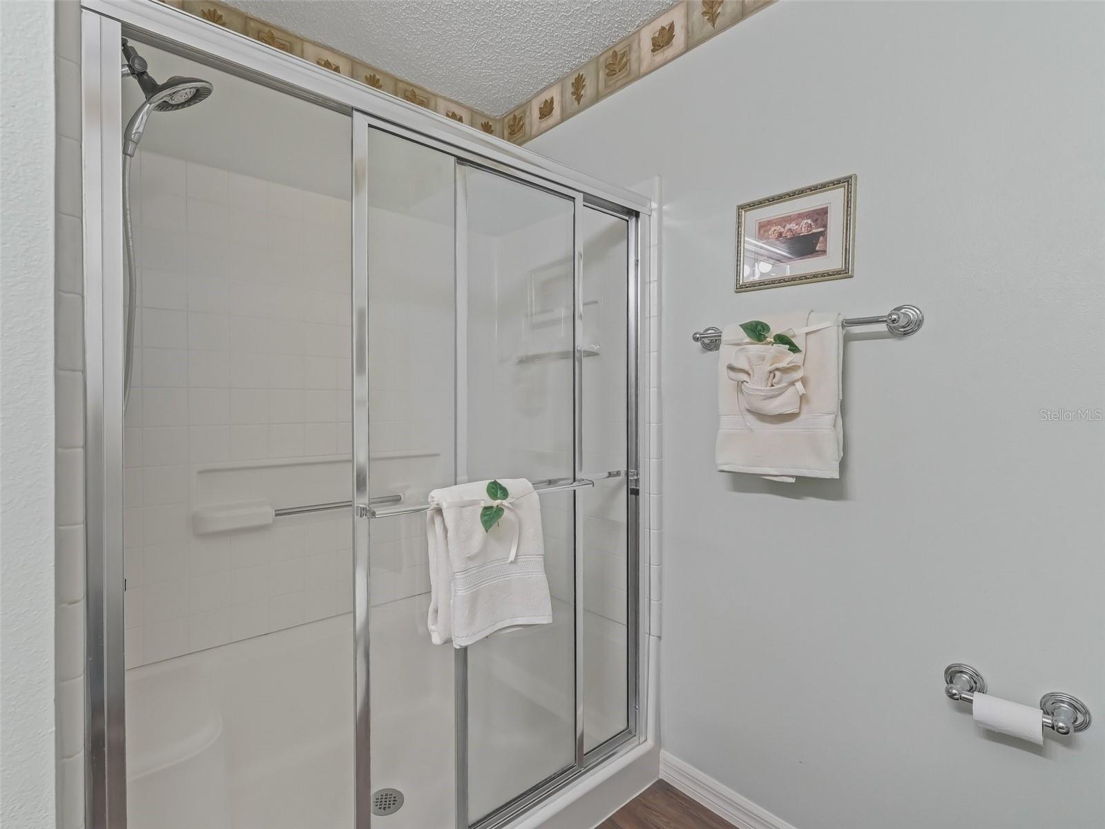 2450 KINGSTREE PL, THE VILLAGES, FL, 32162