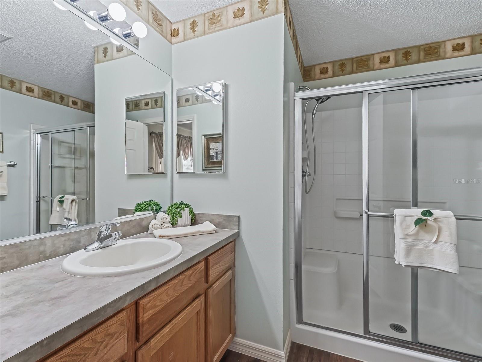 2450 KINGSTREE PL, THE VILLAGES, FL, 32162