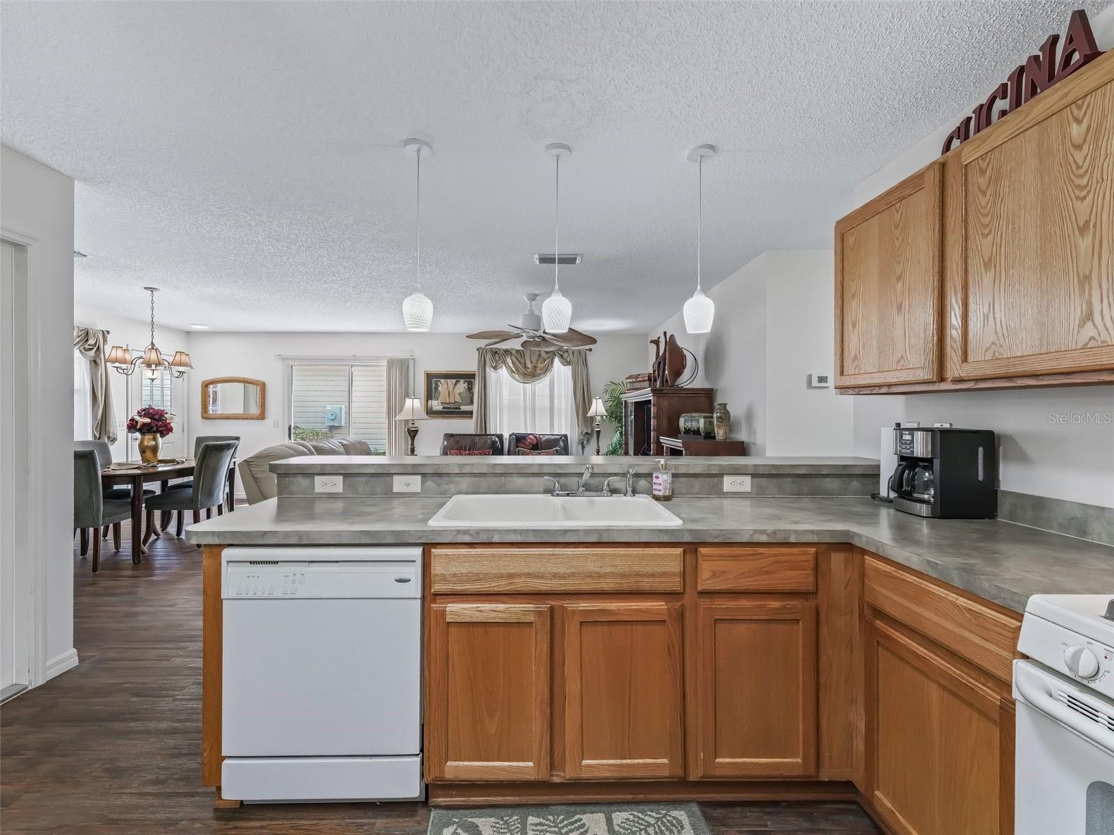 2450 KINGSTREE PL, THE VILLAGES, FL, 32162