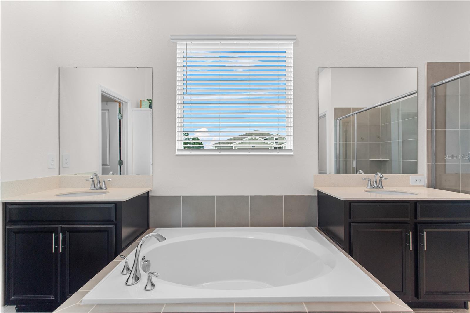 5393 RED CORAL CIR, MOUNT DORA, FL, 32757