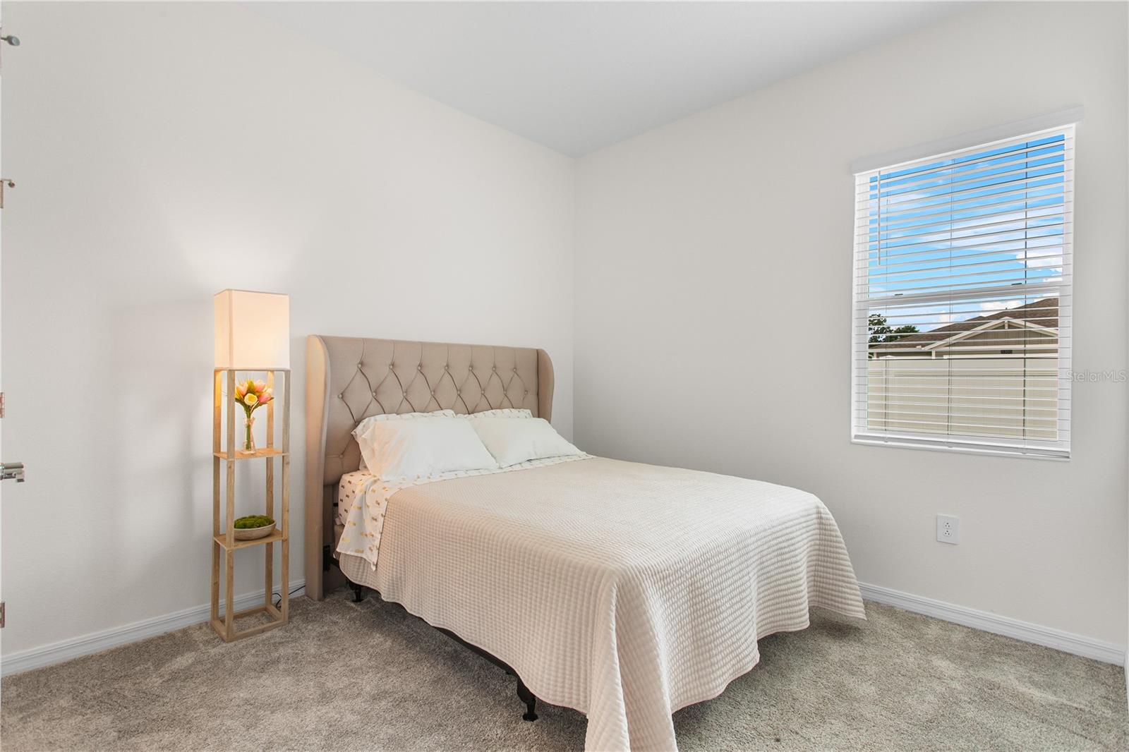 5393 RED CORAL CIR, MOUNT DORA, FL, 32757