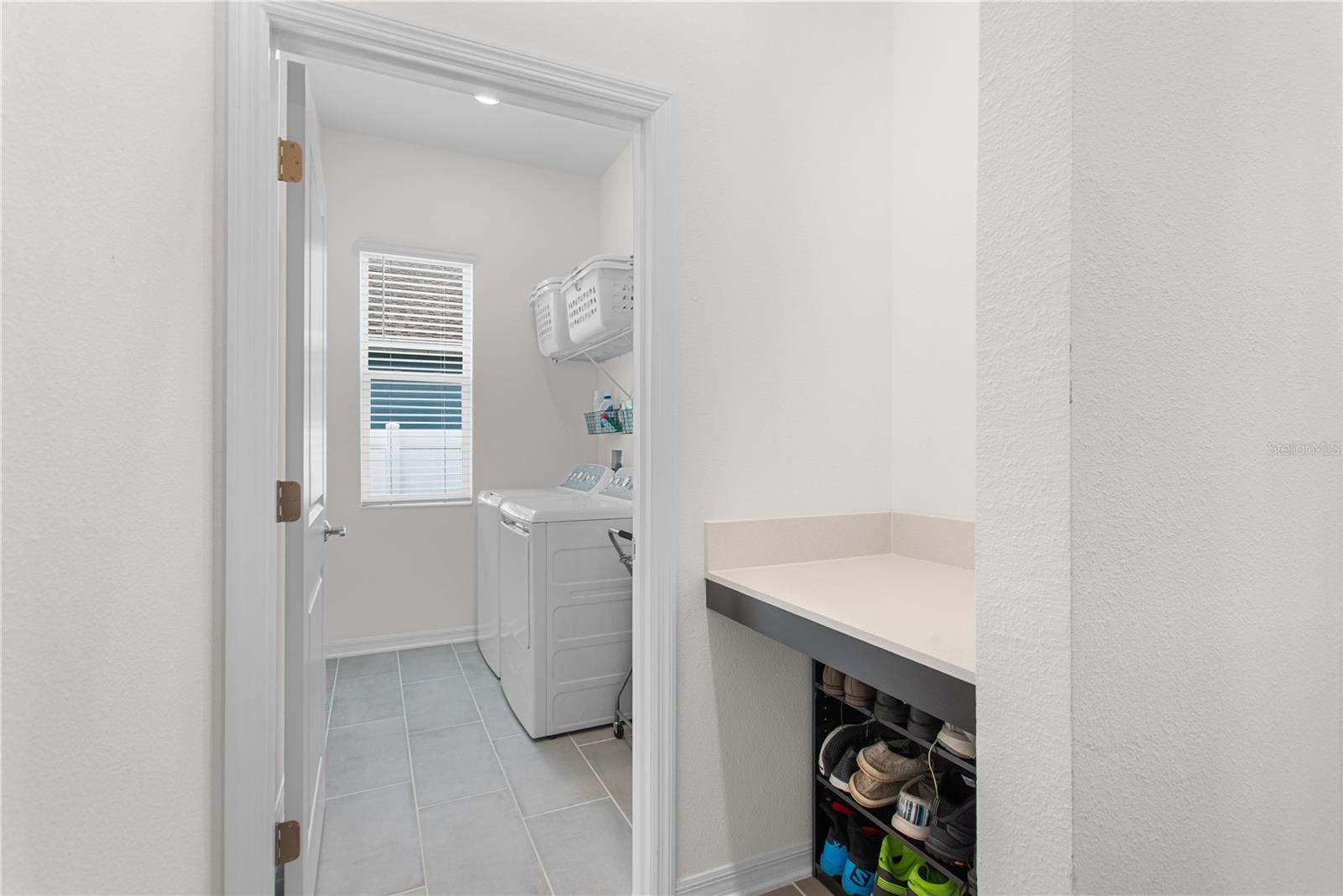 5393 RED CORAL CIR, MOUNT DORA, FL, 32757