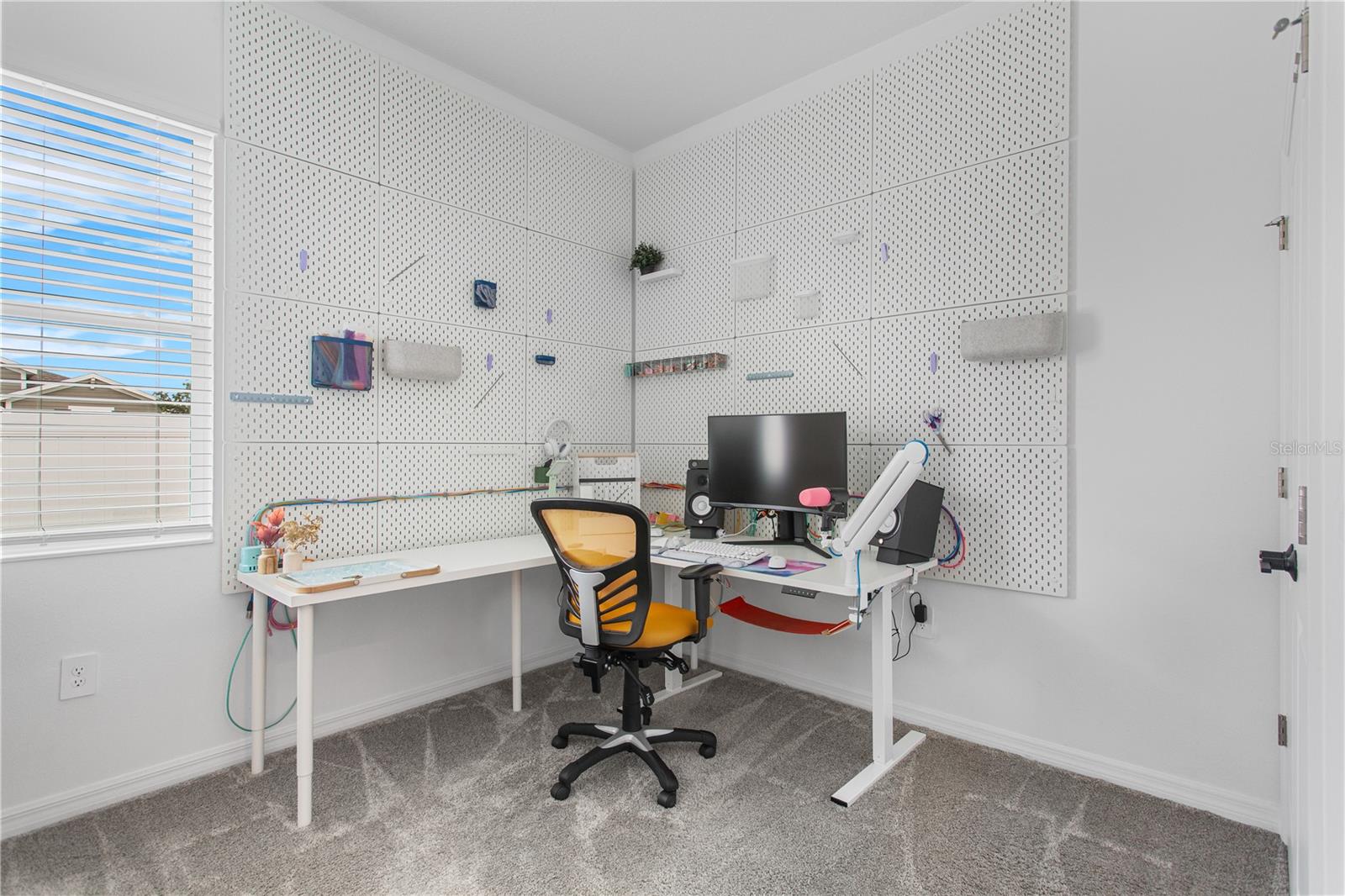 5393 RED CORAL CIR, MOUNT DORA, FL, 32757