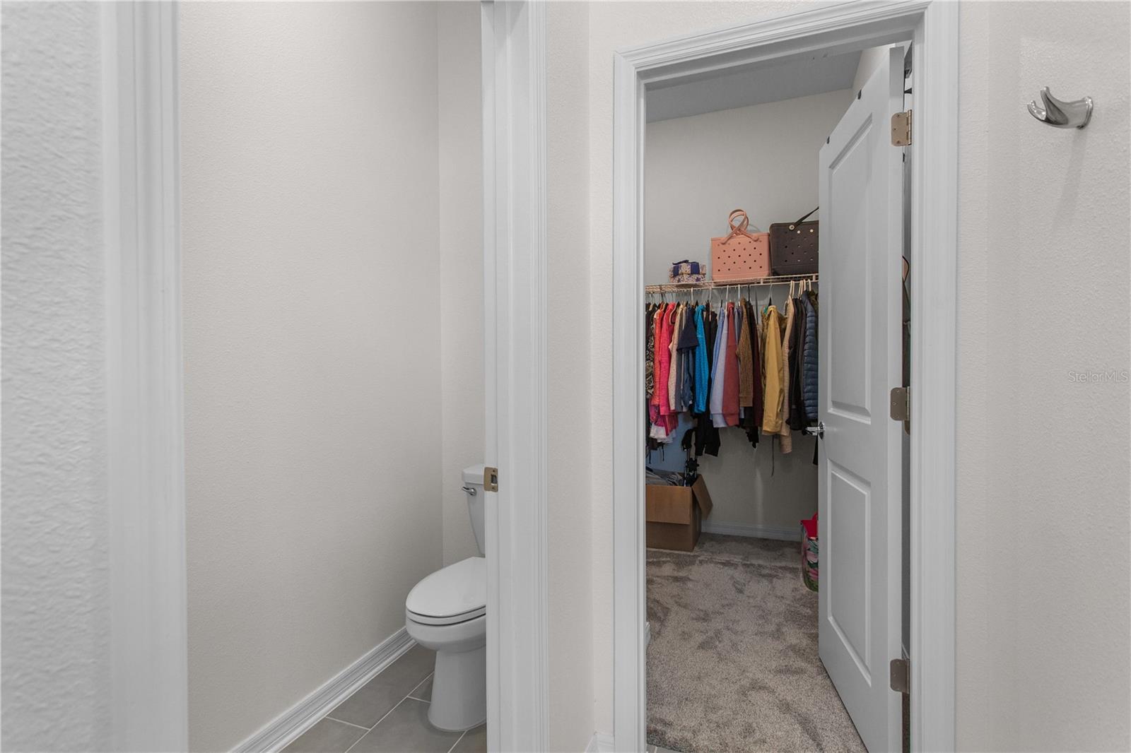 5393 RED CORAL CIR, MOUNT DORA, FL, 32757