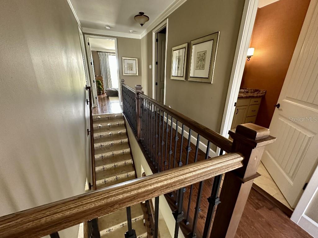 1056 CASTLE PINES CT, REUNION, FL, 34747