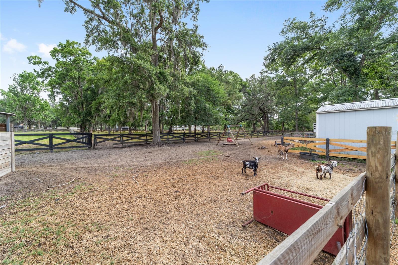 1781 SE 85TH STREET RD, OCALA, FL, 34480