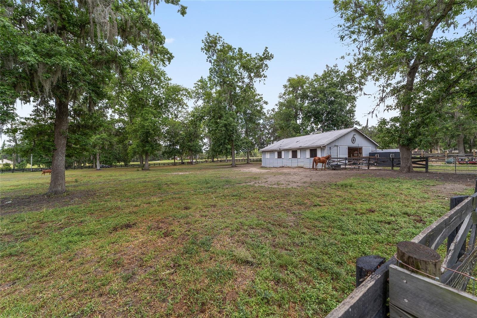1781 SE 85TH STREET RD, OCALA, FL, 34480