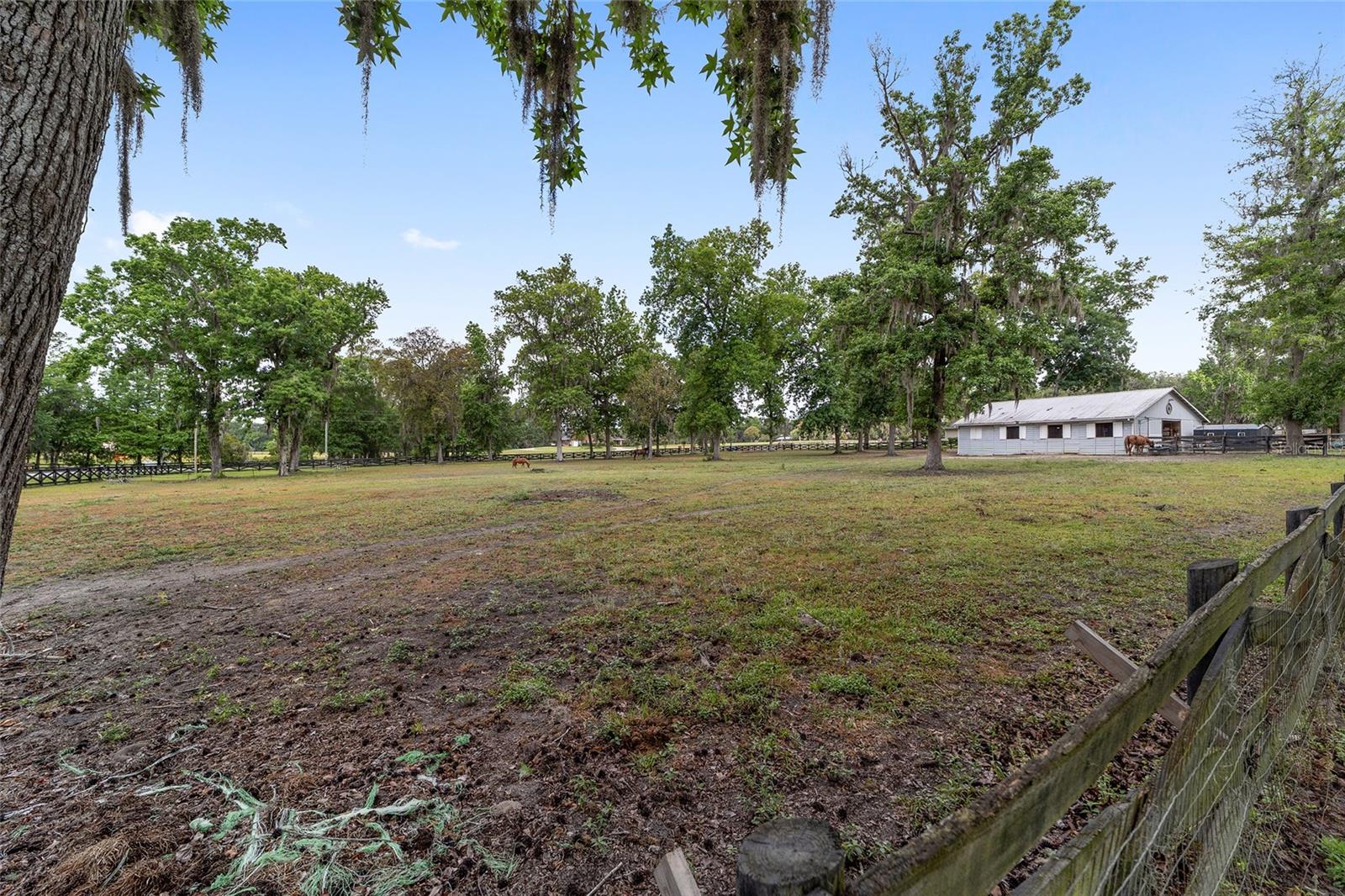 1781 SE 85TH STREET RD, OCALA, FL, 34480