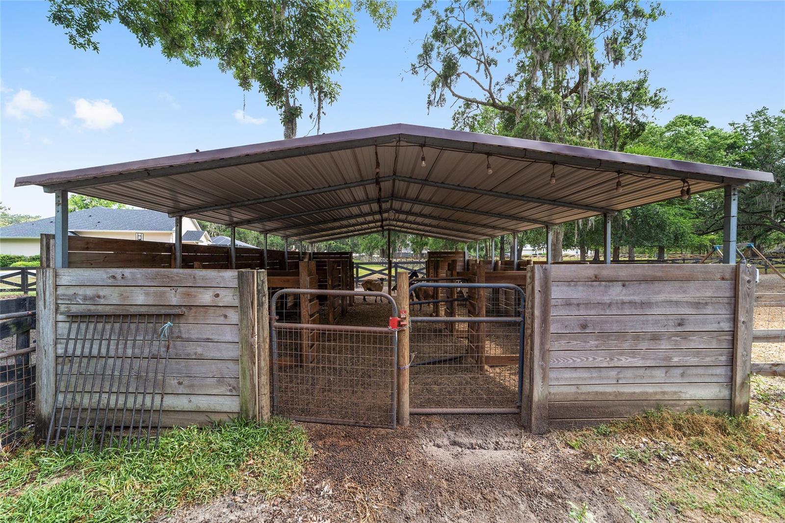 1781 SE 85TH STREET RD, OCALA, FL, 34480