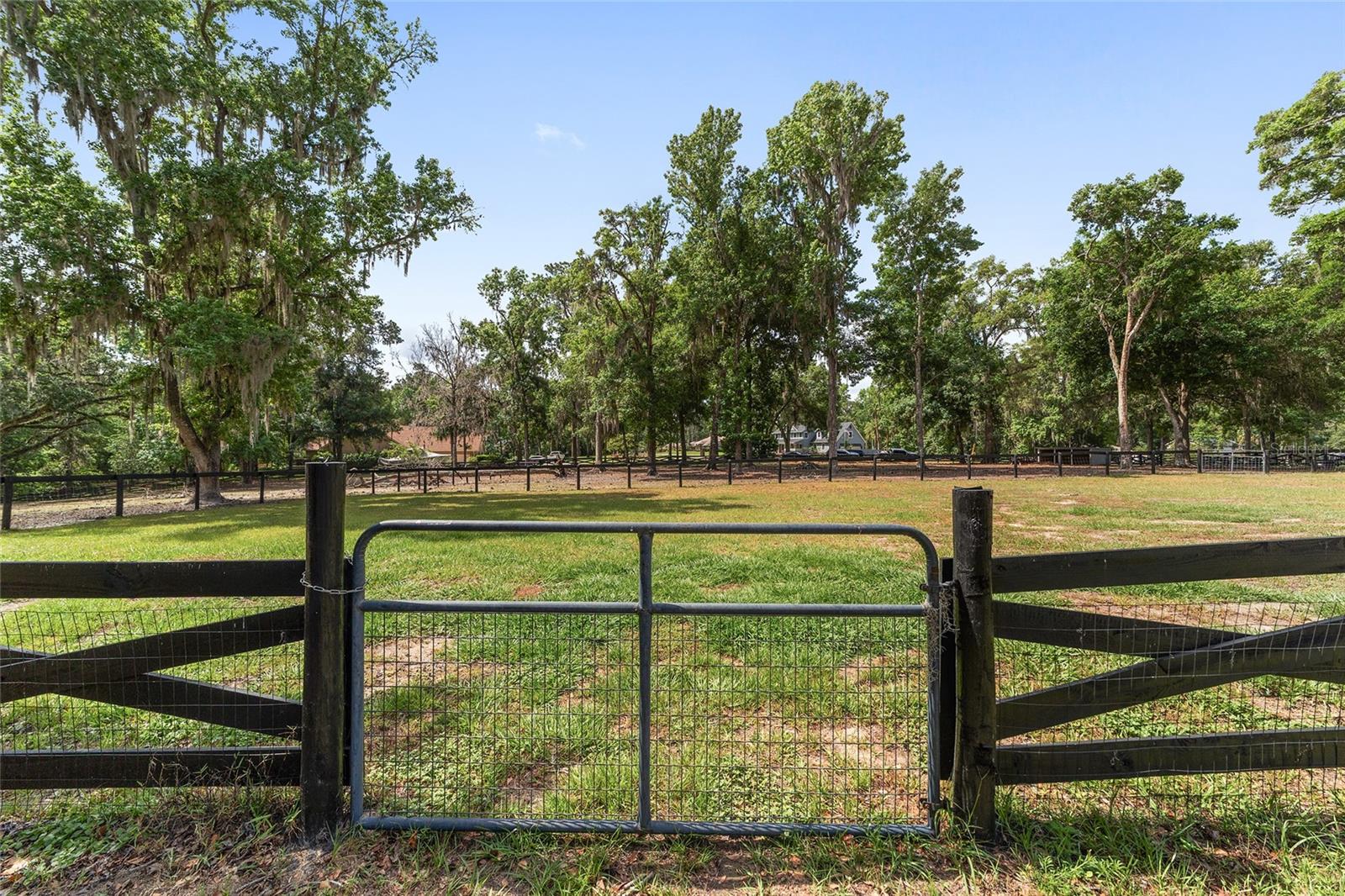 1781 SE 85TH STREET RD, OCALA, FL, 34480