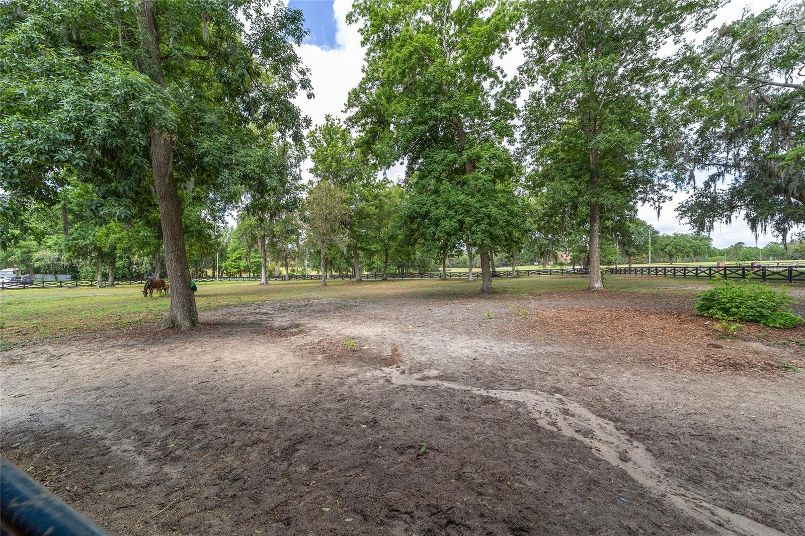 1781 SE 85TH STREET RD, OCALA, FL, 34480