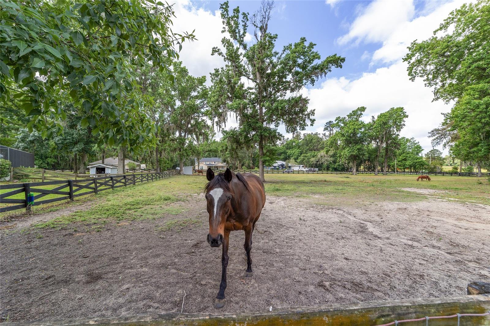 1781 SE 85TH STREET RD, OCALA, FL, 34480