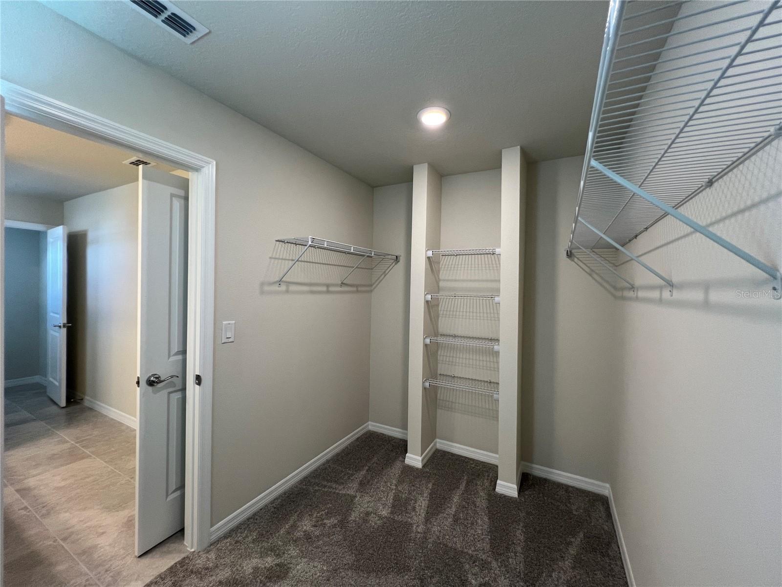 6488 BREEZE FILLED LANE, WINTER GARDEN, FL, 34787