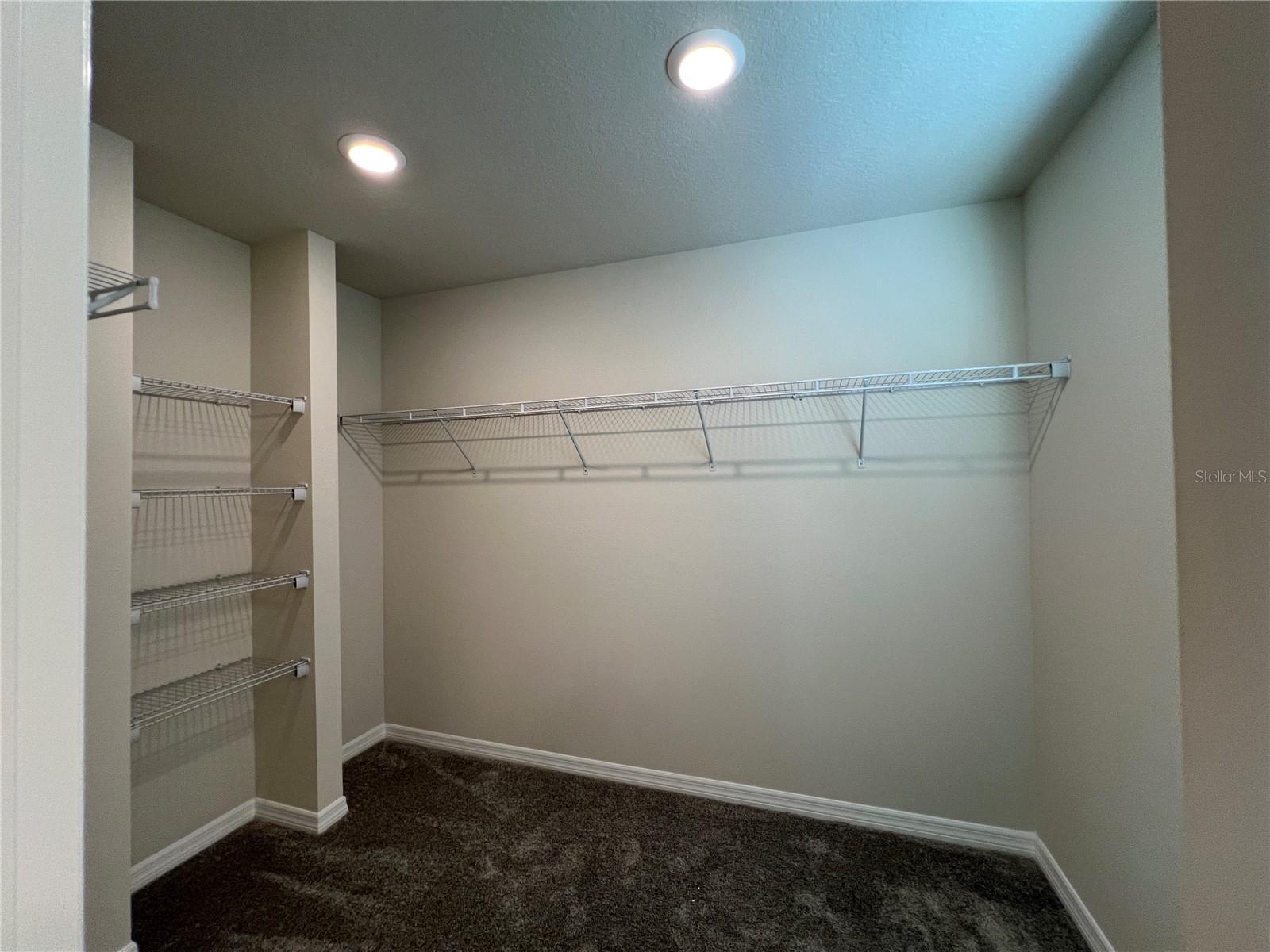 6488 BREEZE FILLED LANE, WINTER GARDEN, FL, 34787