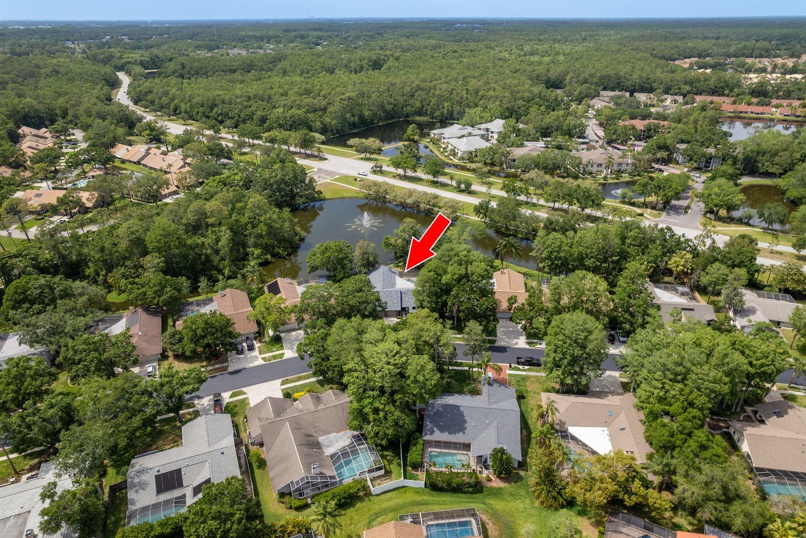 3138 EDGEMOOR DR, PALM HARBOR, FL, 34685