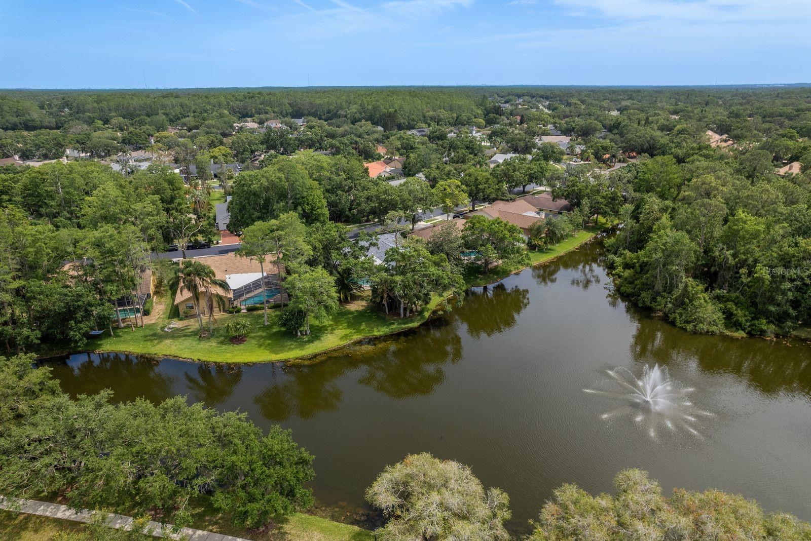 3138 EDGEMOOR DR, PALM HARBOR, FL, 34685