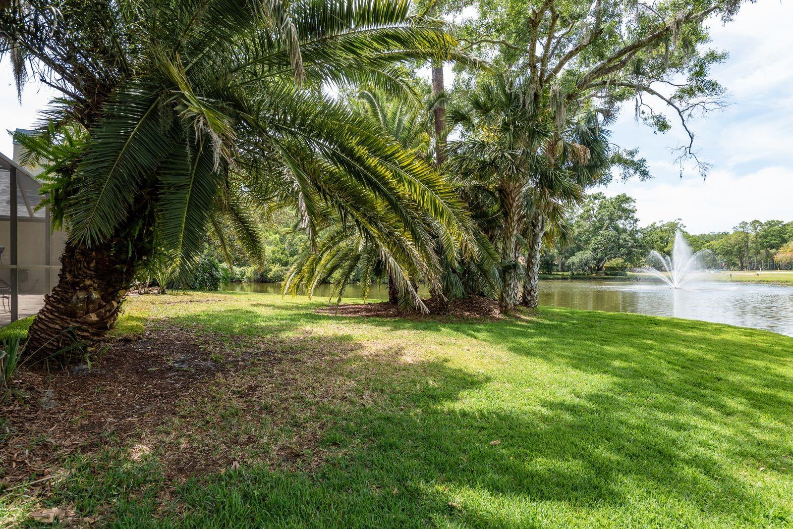 3138 EDGEMOOR DR, PALM HARBOR, FL, 34685