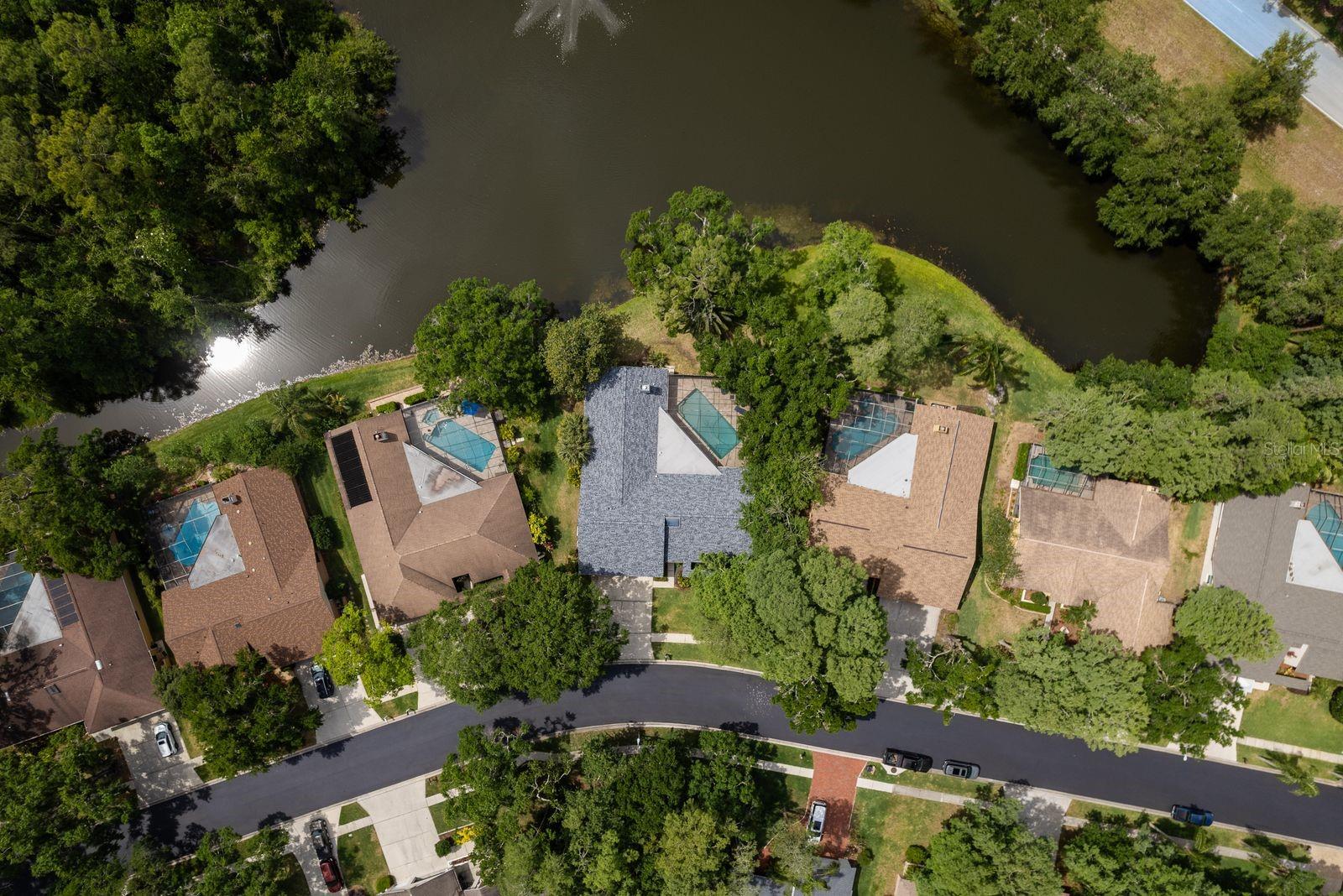 3138 EDGEMOOR DR, PALM HARBOR, FL, 34685