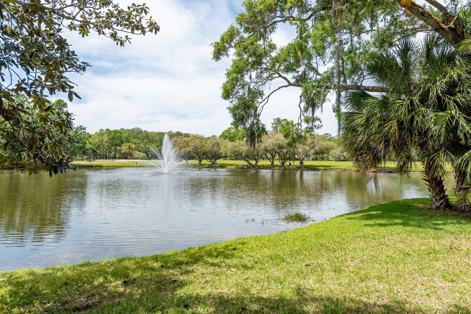 3138 EDGEMOOR DR, PALM HARBOR, FL, 34685