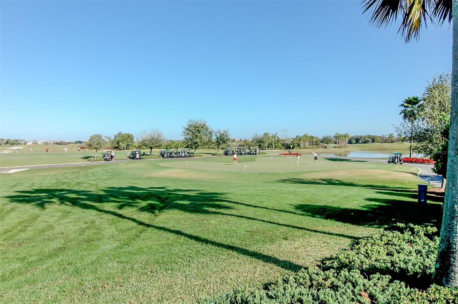 6633 THE MASTERS AVE, LAKEWOOD RANCH, FL, 34202