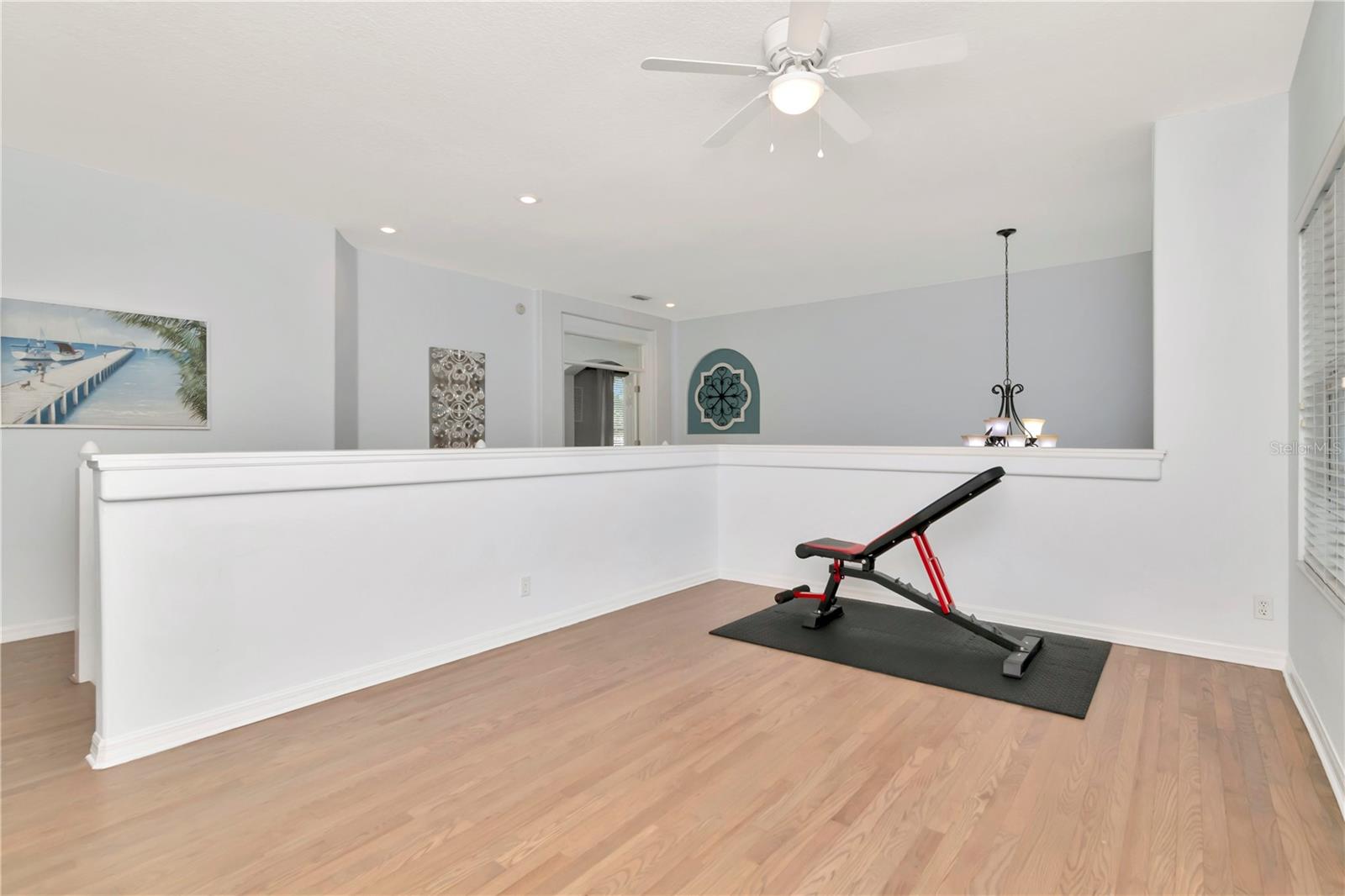 4063 LIGUSTRUM DR, PALM HARBOR, FL, 34685