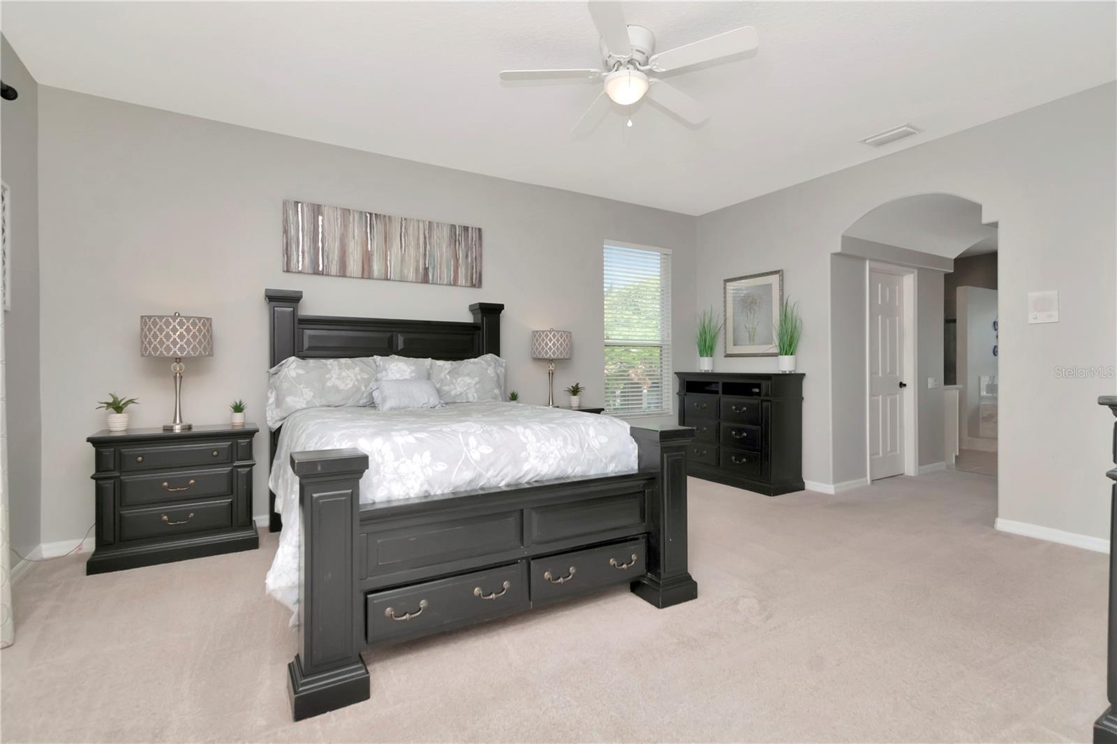 4063 LIGUSTRUM DR, PALM HARBOR, FL, 34685