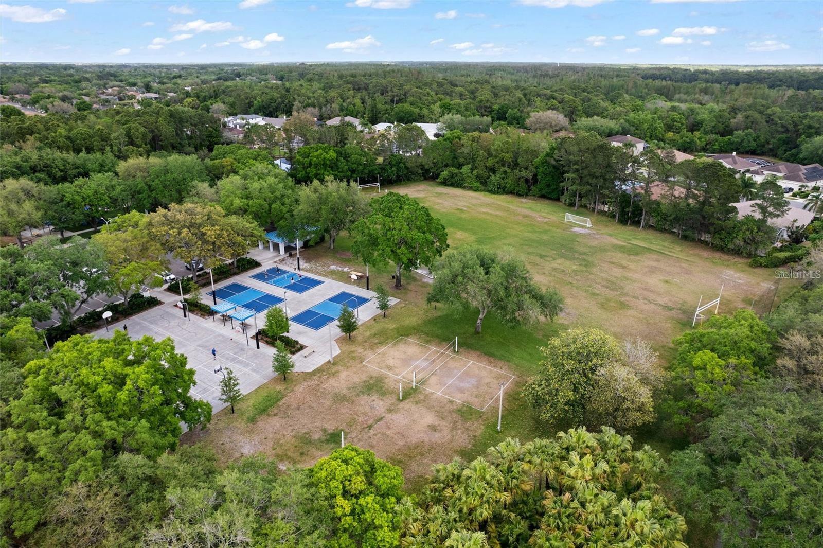 4063 LIGUSTRUM DR, PALM HARBOR, FL, 34685