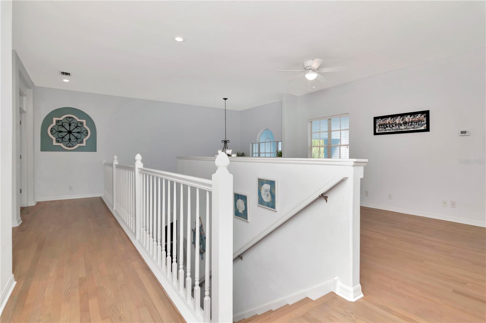 4063 LIGUSTRUM DR, PALM HARBOR, FL, 34685