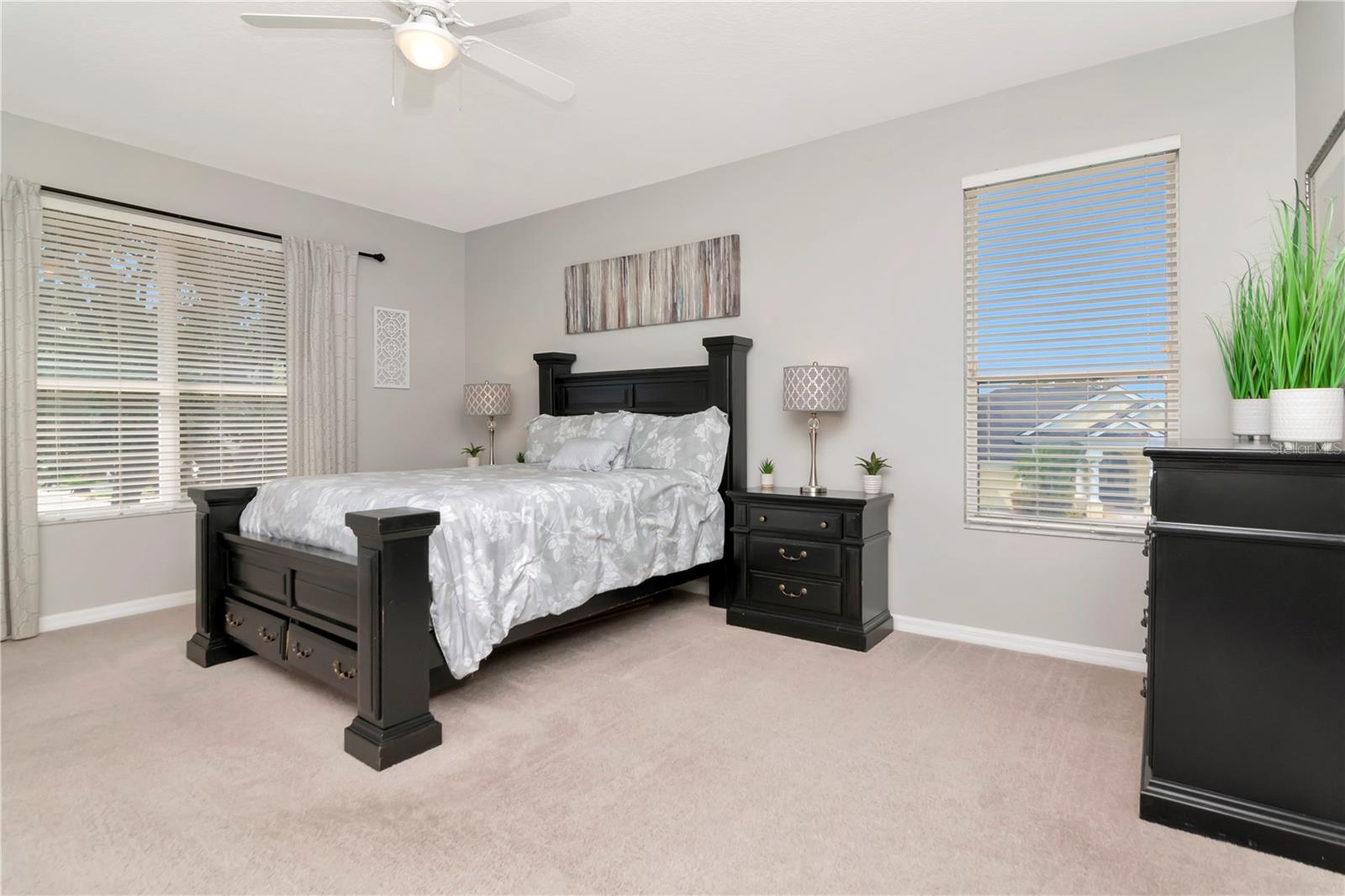 4063 LIGUSTRUM DR, PALM HARBOR, FL, 34685