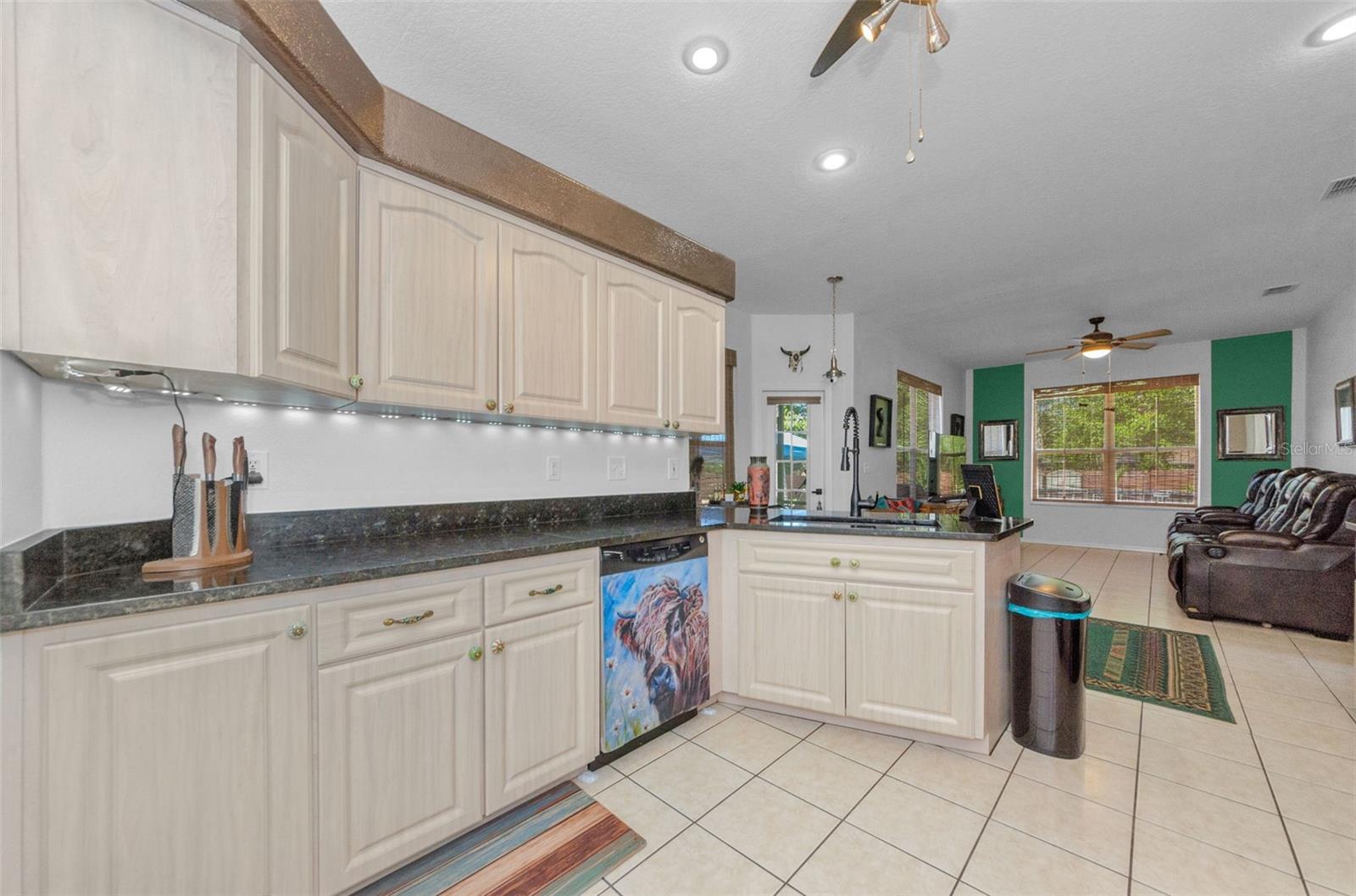 12923 COLONY RD, HUDSON, FL, 34669