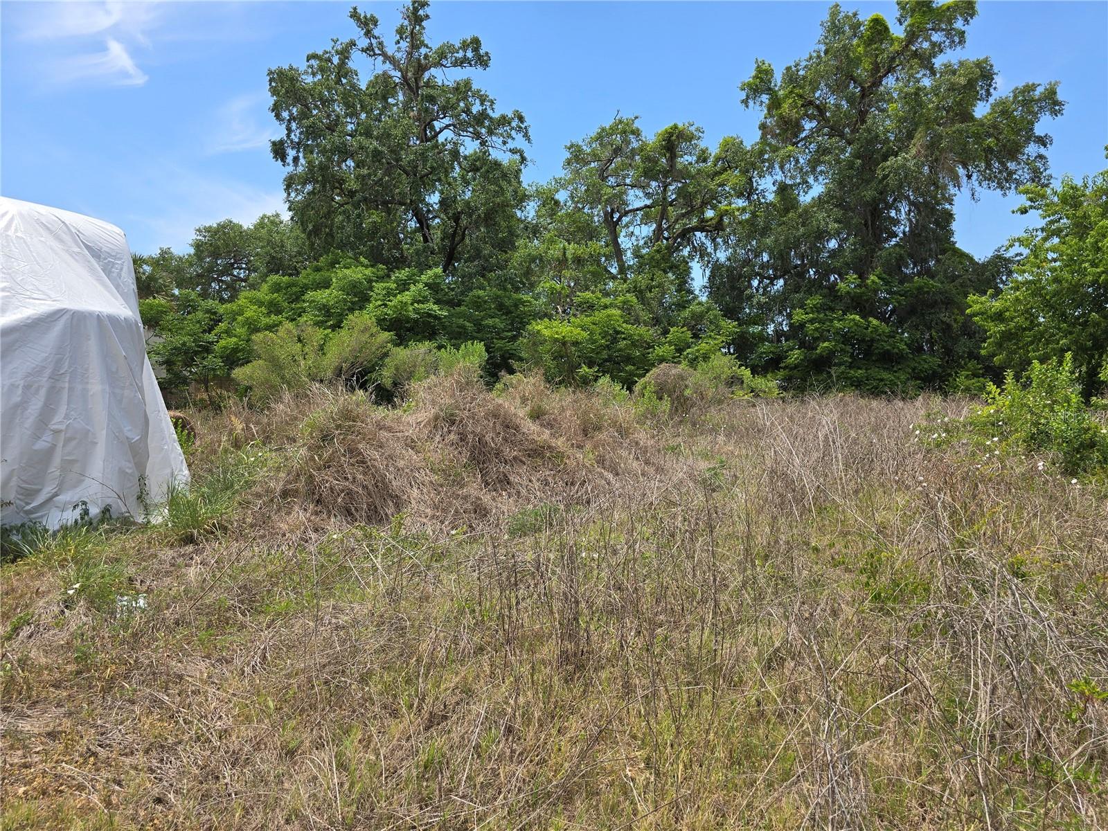 11828 COUNTY ROAD 105, OXFORD, FL, 34484