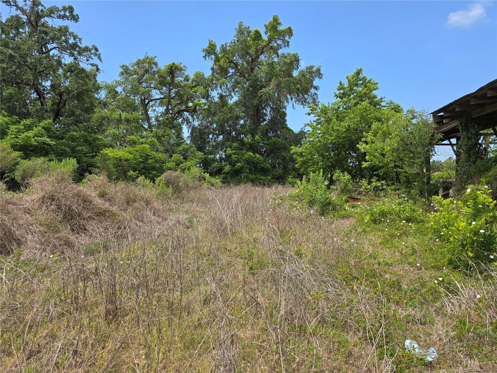 11828 COUNTY ROAD 105, OXFORD, FL, 34484