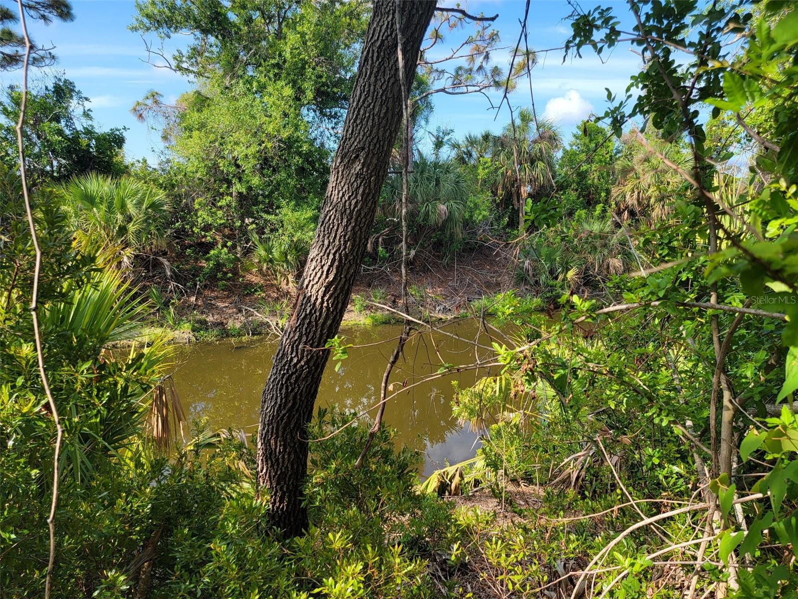 10171 STONECROP AVE, ENGLEWOOD, FL, 34224