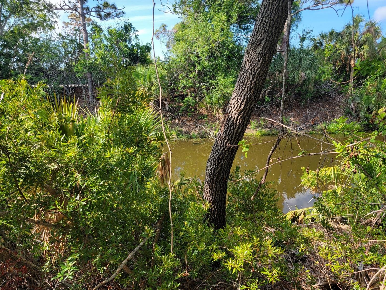 10171 STONECROP AVE, ENGLEWOOD, FL, 34224