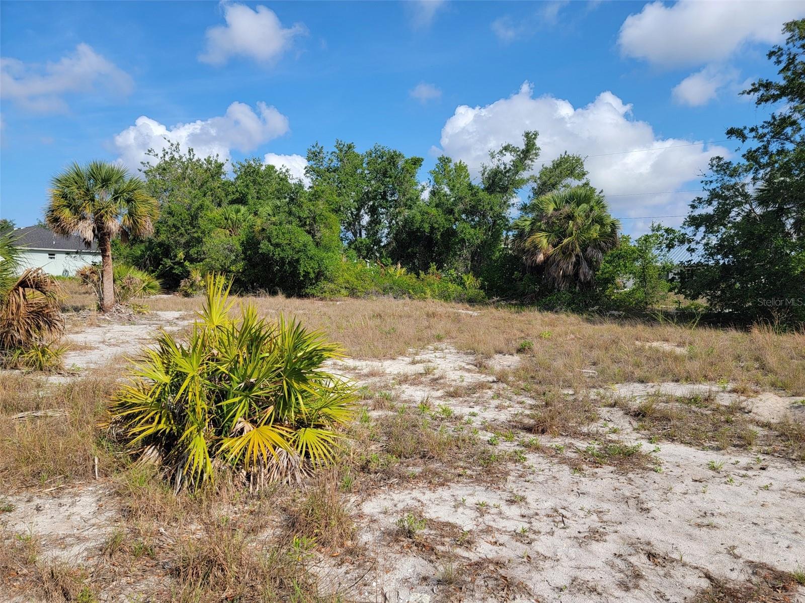 10171 STONECROP AVE, ENGLEWOOD, FL, 34224