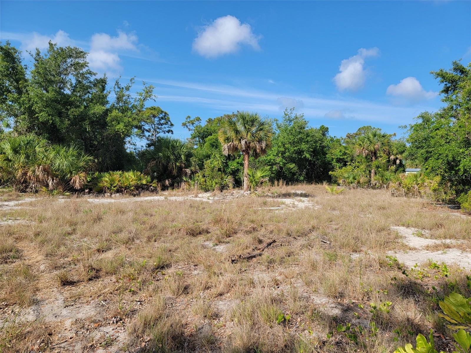 10171 STONECROP AVE, ENGLEWOOD, FL, 34224