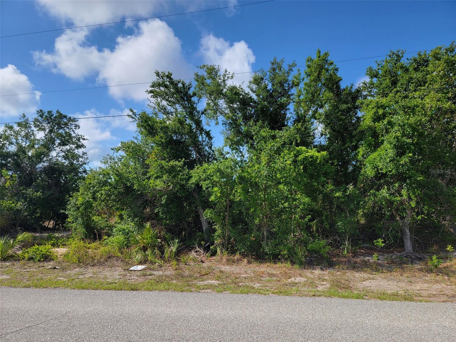 10171 STONECROP AVE, ENGLEWOOD, FL, 34224