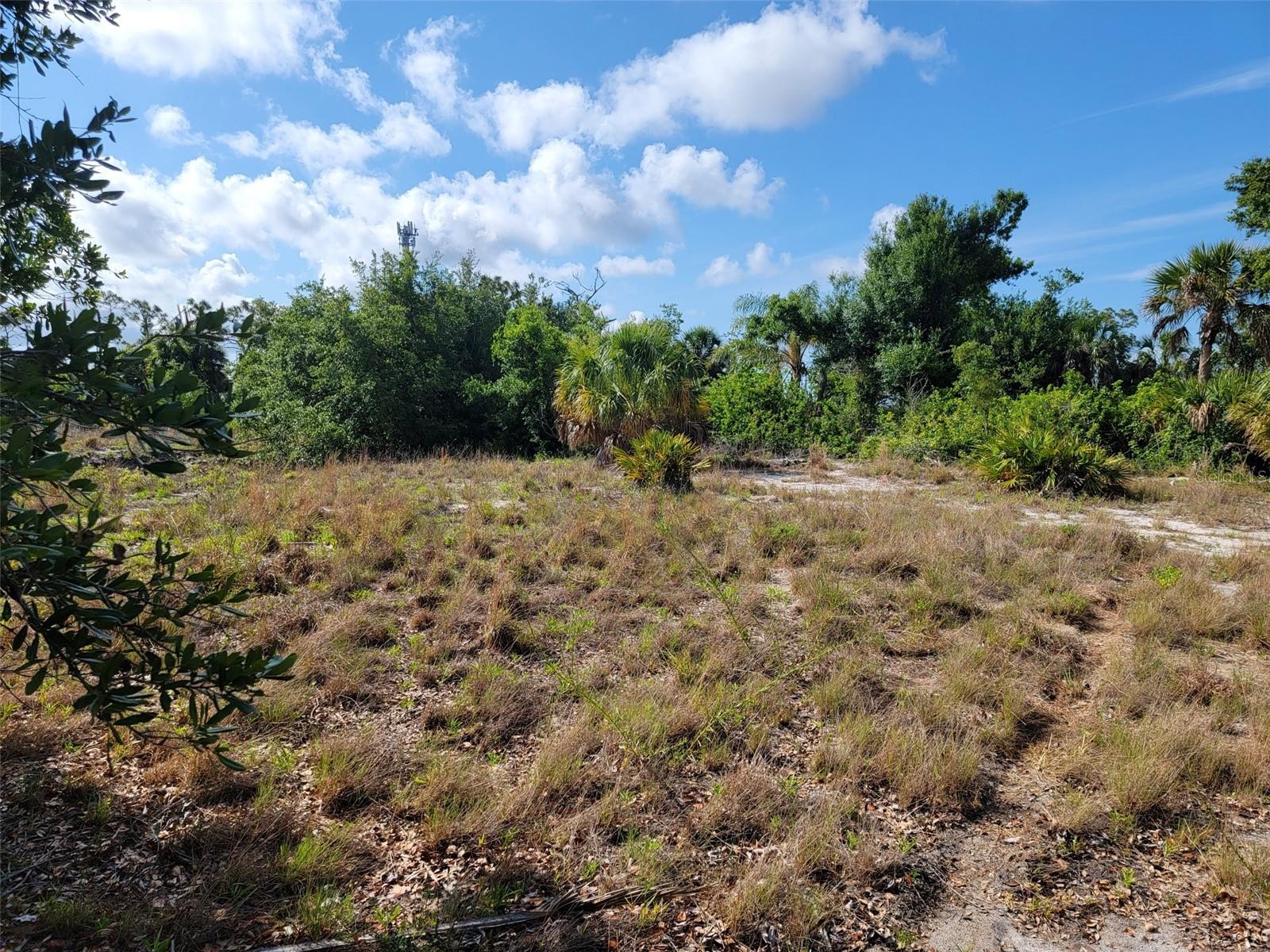 10171 STONECROP AVE, ENGLEWOOD, FL, 34224