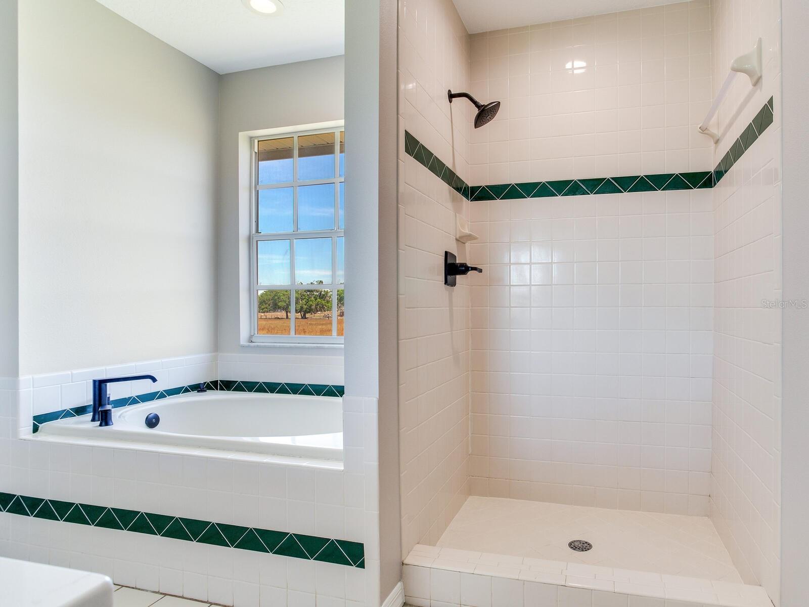 3434 E KEYSVILLE RD, LITHIA, FL, 33547