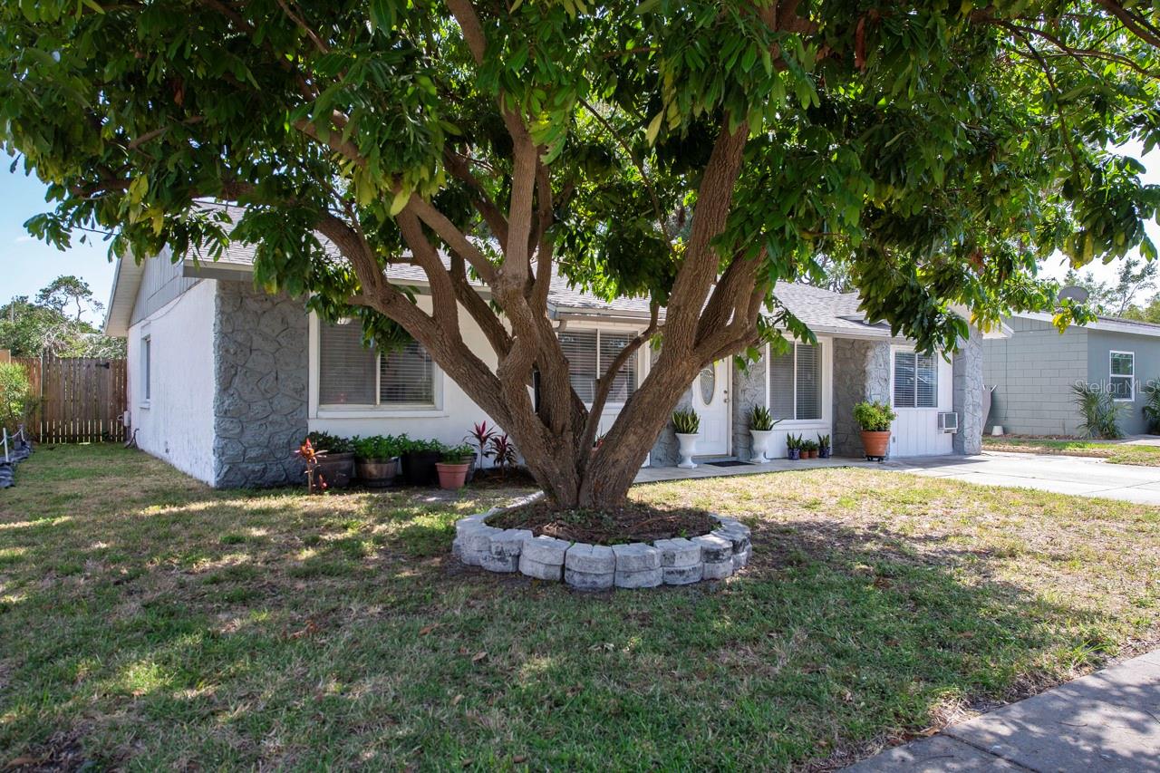 9118 108TH AVE, SEMINOLE, FL, 33777