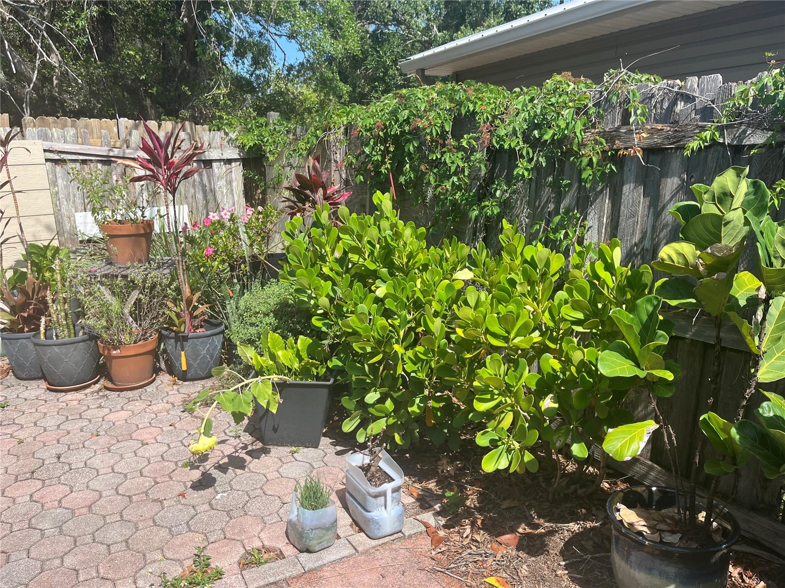 2415 PELICAN DR, SARASOTA, FL, 34237