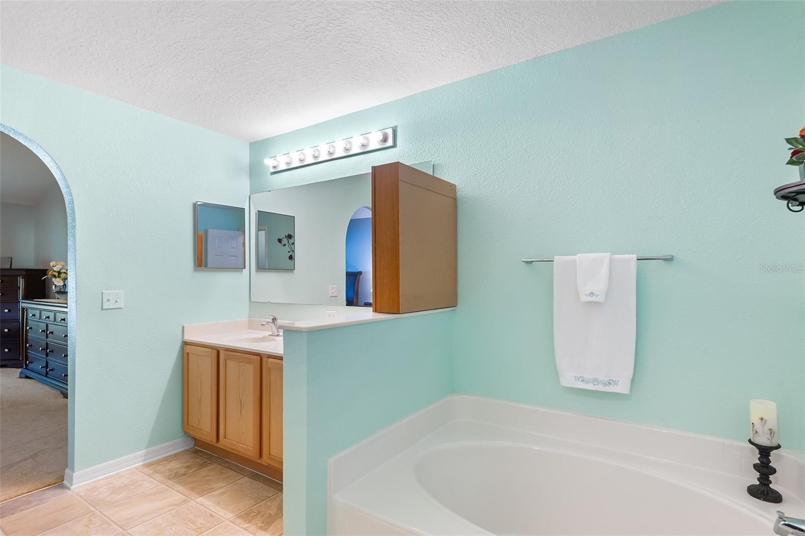 1216 MYOPIA HUNT CLUB DR, AUBURNDALE, FL, 33823