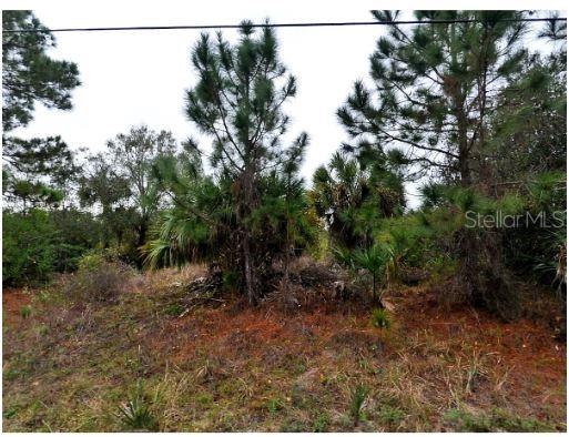 GERMANY AVE, NORTH PORT, FL, 34288