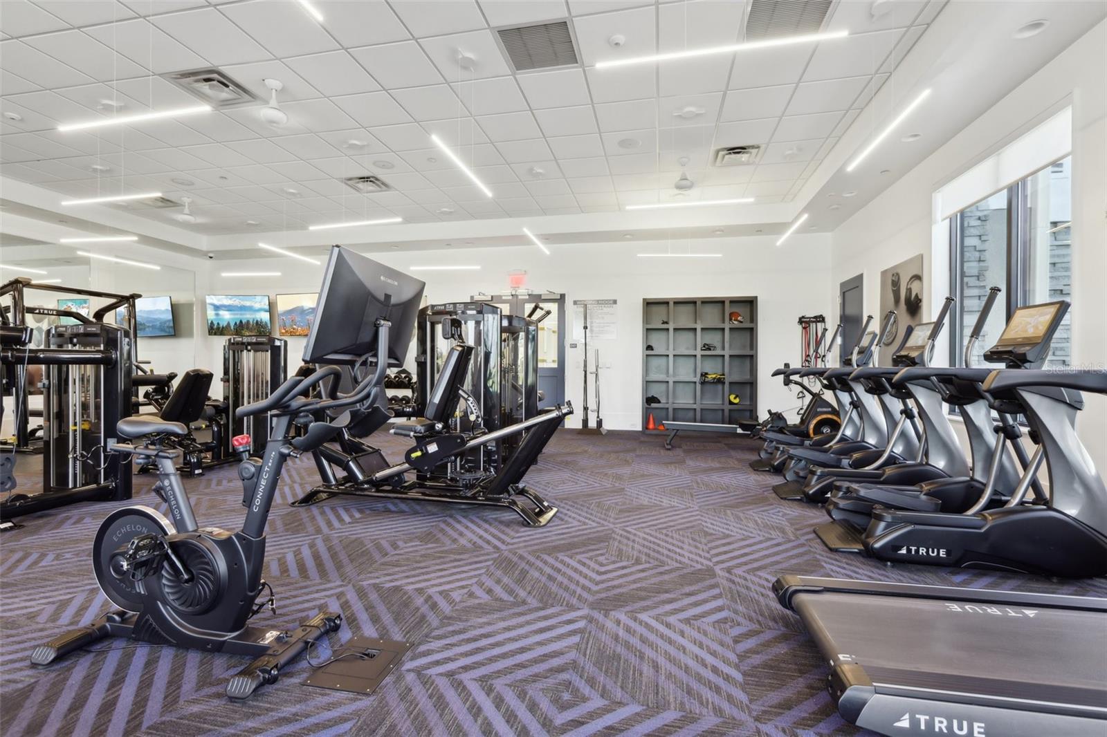 3488 GREAT BANYAN WAY, WESLEY CHAPEL, FL, 33543