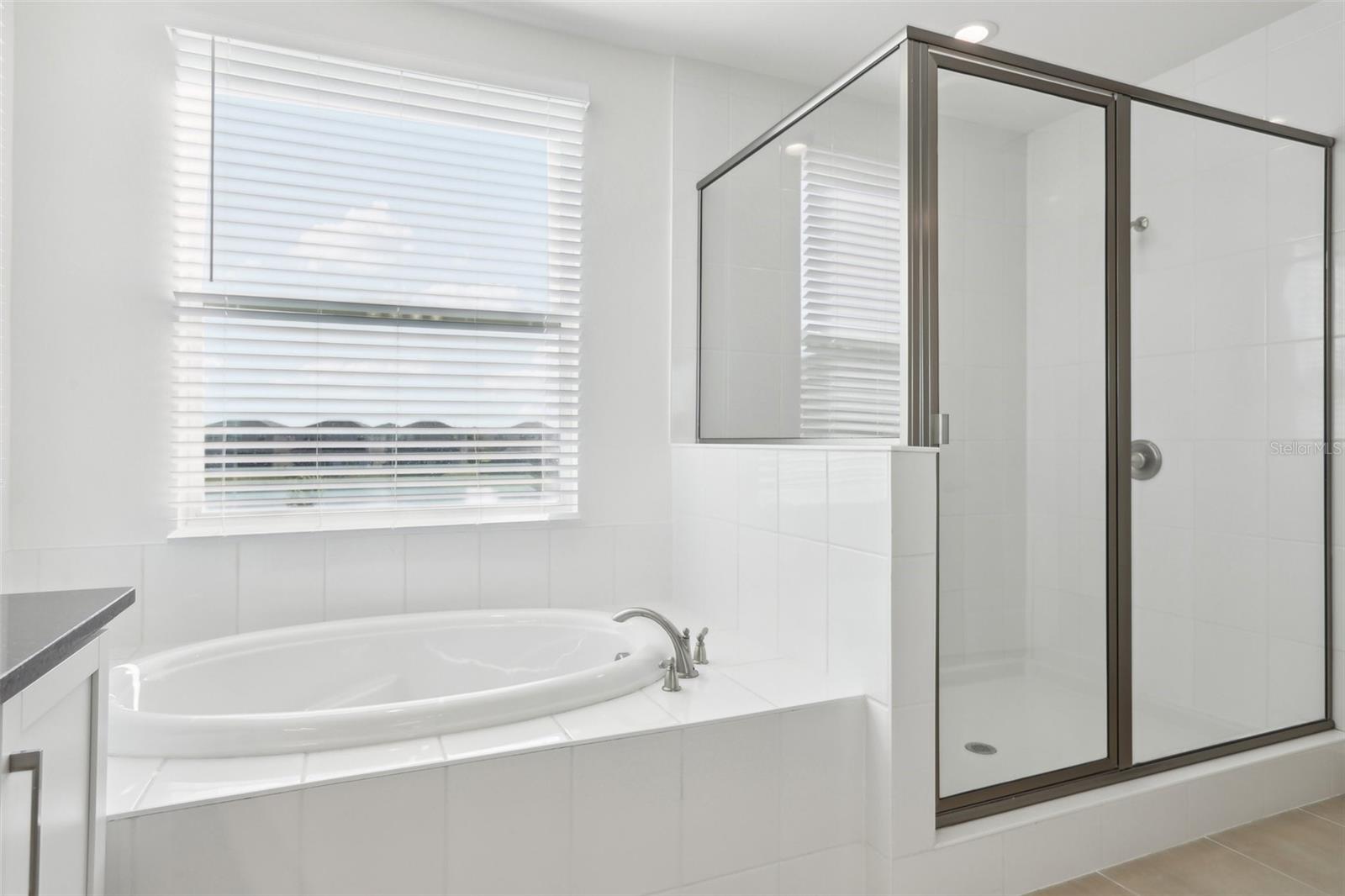 3488 GREAT BANYAN WAY, WESLEY CHAPEL, FL, 33543